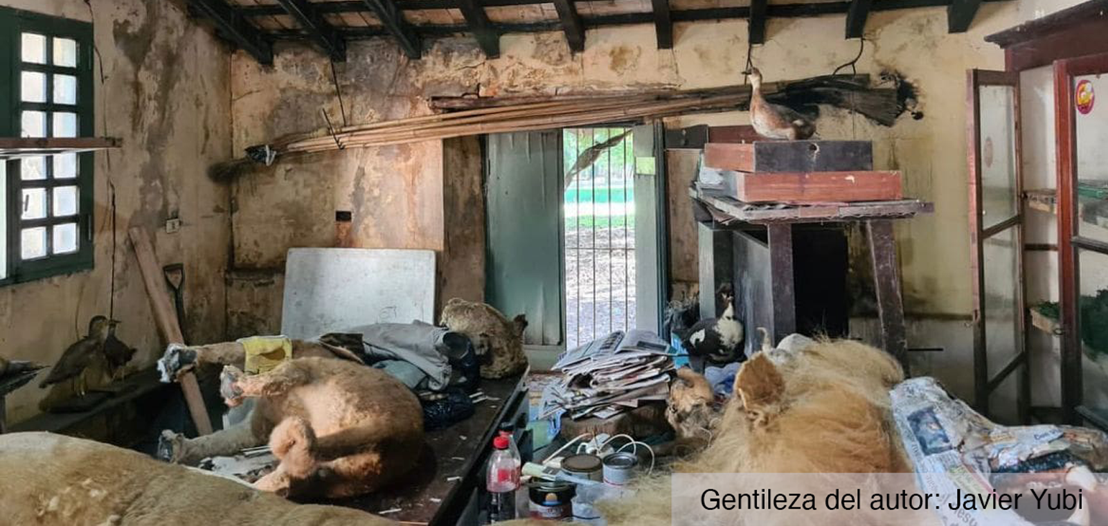 Oportunidad de rescate del Herbario del Botánico