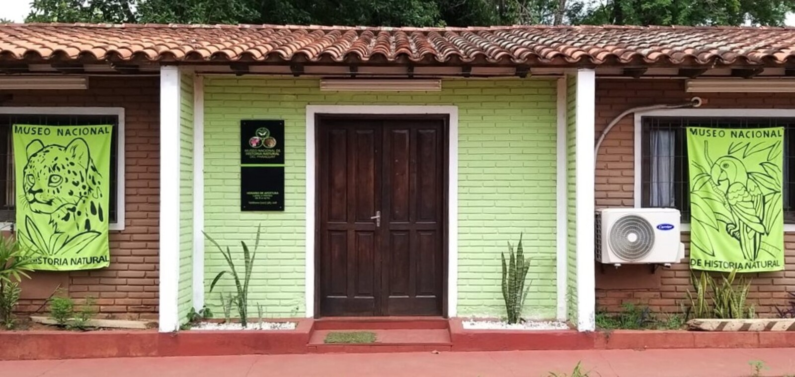 El Museo Nacional de Historia Natural del Paraguay resguarda el patrimonio natural