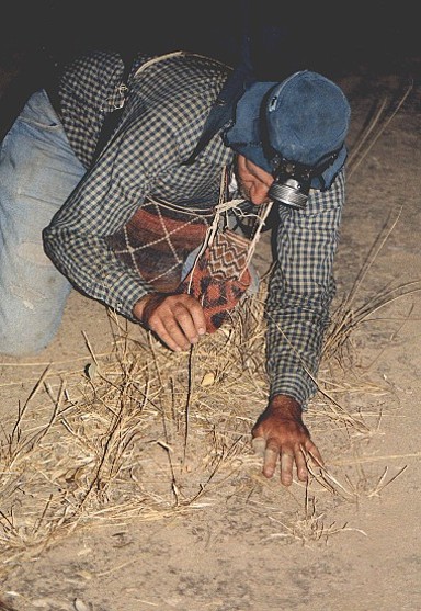 Foto 4 investigacion