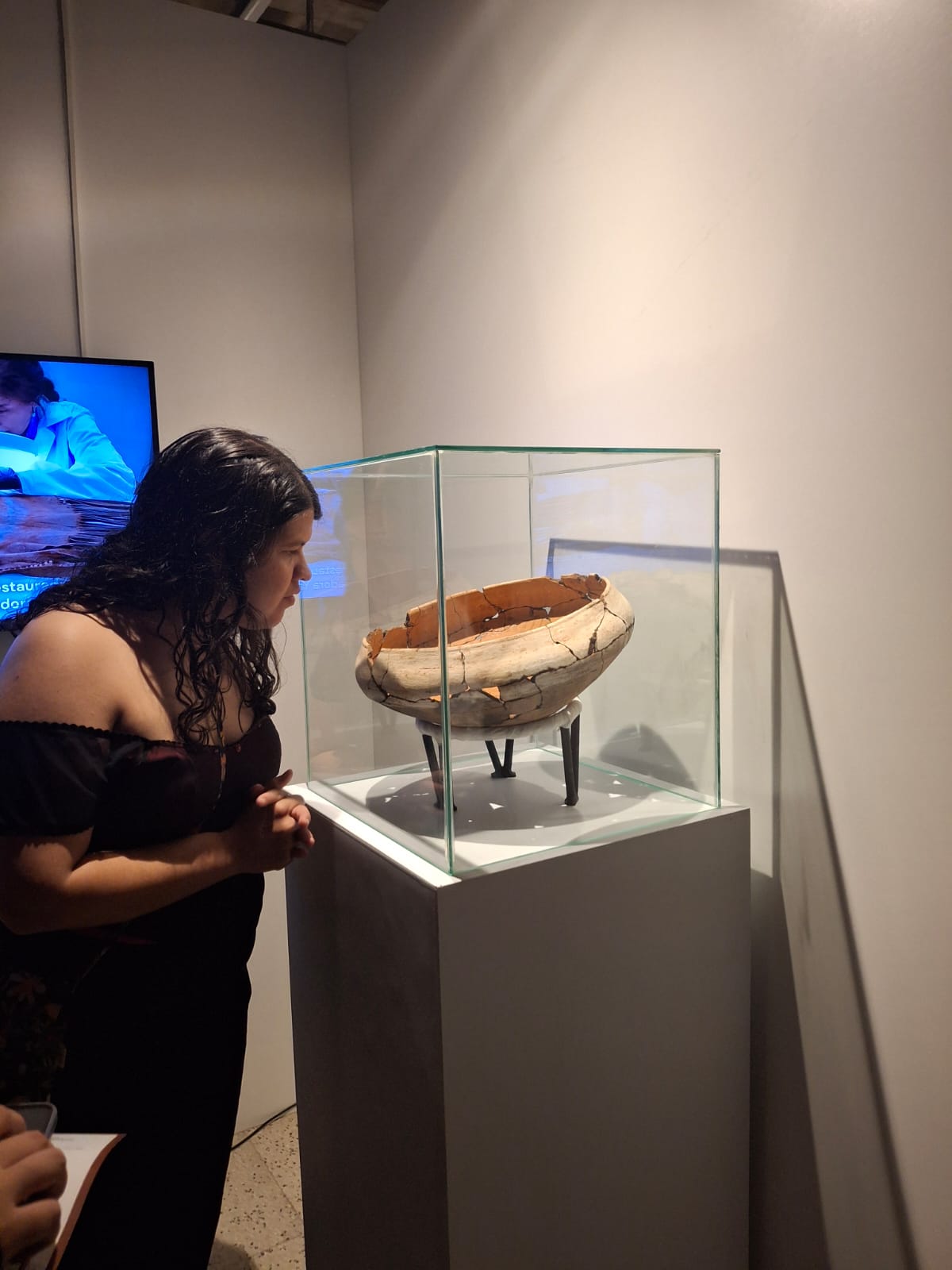 Los Museos se Muestran 2